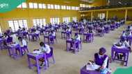 WAEC exam leaked to students days before scheduled date, experts weigh in