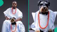 Man wears his dog ‘agbada’ and bead for 2nd birthday, shares heartfelt wish as photos trend