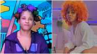 "She already thinks she'll win": Mixed reactions as Phyna begs Biggie to get her a dress for show finale