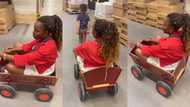 "He enjoyed it": Woman enters shopping cart and tells her little son to pull her around like a child