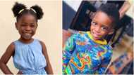 Davido and Tiwa's kids serve bestie goals in adorable karate class video