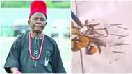 Chiwetalu Agu survives spiritual attack, claims arrows, other mysterious Items were brought out of his chest