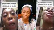 "Please leave my husband alone, I'm pregnant for him": Video of wife crying and begging lady stirs reactions