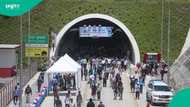 Nepal tunnel rescue: Expert shares how 2 survivors were pulled out alive