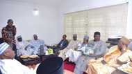 National unity: Ganduje, Okorocha, Fashola, others to discuss sustainability of Nigeria