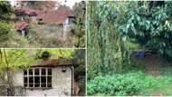 Stranger buys abandoned 400-year-old dangerous house filled with rats, rabbits and mice online for N416m