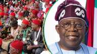 2027: Ohanaeze, Southeast Stakeholders Reject Peter Obi, Endorse Tinubu’s Election
