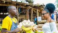 GDP Growth: best-performing sectors in Nigeria in Q2 2022 as analysts say growth not real