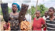 Occupational change: How Delta community developed other professions from fishing to survive due to oil spill