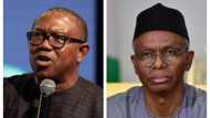 Tit-for-tat: Real reason why El-Rufai stopped Peter Obi from using ‘Arewa House’ emerges