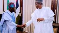 Introduce stimulus now, Nigerians are tired of fasting - Tinubu tells Buhari-led FG
