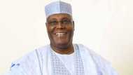 2023: Gwamnatin Adamawa Ta Bada Shaida a Kan Zaman Atiku Ɗan Nigeria Ko Akasin Haka