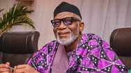 Jubilation as Ondo Gov Akeredolu begins payment of N35,000 wage award for workers