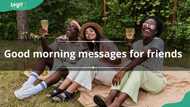 180+ good morning messages for friends to wish them a great day ahead