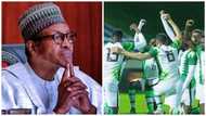 Minister speaks on whether Buhari would be attending Super Eagles, Ghana Black Stars game