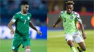 AFCON 2019: Super Eagles set for titanic clash with Algeria in semi finals