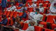Nothing but old news - Senators knock Buhari over 2021 budget, identify why it's unrealistic