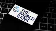 World Bank's IFC to give MSMEs in Nigeria, other African countries $2 billion