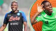 Ballon d’Or 2023: Poco Lee, Dammy Krane, Nigerian celebrities, hail Osimhen, Oshoala