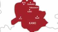 Abin Farin Ciki: An Gano Yaron Da Ya Ɓata Watanni 2 Baya Daga Kano A Ƙasar Togo