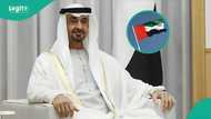 Japa to UAE: Full list of occupations Nigerians, others can qualify for a Green Visa