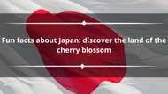 20 fun facts about Japan: discover the land of the cherry blossom