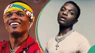 "Small body big engine": Wizkid's dance moves in knitted outfit stir up imaginations, video trends