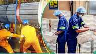 Nigeria's manufacturing sector faces crisis as 102 companies shut down