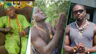 Portable goes spiritual amid fight with Verydarkman as he visits shrine: “U wan they loose credibility”