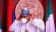No 2023 elections? Presidential media aide opens up, speaks on Buhari's alleged 3rd term agenda