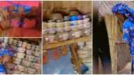 Don't judge a book by its cover: Inside video of hut with big colourful bed and well-stacked iron plates