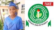 Ejikeme Mmesoma: What you need to know about the app generating fake JAMB/UTME results