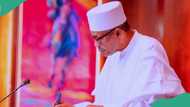 "How Buhari ‘mistakenly’ approved $10 million gas contract": Adesina spills