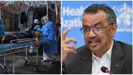 Coronavirus: WHO declares global health emergency as killer disease spreads to 18 countries
