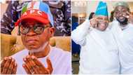 Osun 2022: Ede, Davido’s kinsmen in joyous mood ahead of Adeleke’s inauguration