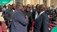 Fayemi speaks on how he made Peter Obi greet Tinubu at Vatican
