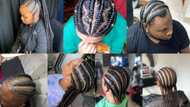 60 cornrows hairstyle ideas for men and women to rock the day