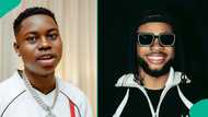 Peller shares fresh update on Poco Lee following reports of his release from UK prison