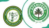 Pressure groups in Nigeria that are quietly shaping the country's political landscape