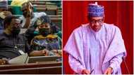 House of Reps passes bill to impeach Nigerian president in 30 days