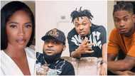 Tiwa Savage, Mayorkun, Davido & 2 other Nigerian singers who are still on good terms with their former labels