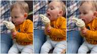 He shunned his mother: 2-year-old boy refuses to give mum ice cream, licks It like adult, video goes viral