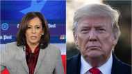 Trump reacts as Kamala Harris pulls out of 2020 US presidential bid