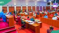 Senate moves to create new state from Kano, bill scales first reading, details emerge