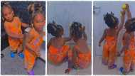 "You must clean it": Beautiful twin babies punished after messing up mum's white door, video emerges