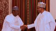 BREAKING: Buhari tells Senate when NDDC board will be recomposed