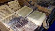 Google Arts and Culture Launches Mali Magic & Timbuktu Manuscripts