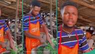 "That's how Moses Bliss started": Handsome young man selling ugu goes viral as he cuts with speed