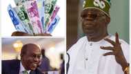"Too harsh": President Bola Tinubu speaks on use of old and new naira notes as Emefiele prepares to leave