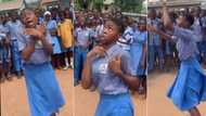 "Portable in woman form": Little girl in uniform dances on assembly ground with funny facial expressions